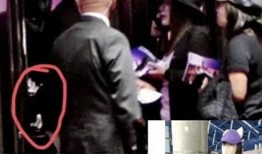 大眼最新爆料,揭秘娱乐圈最新热点事件