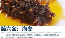 即食海参爆料视频大全下载,揭秘海参行业背后的秘密